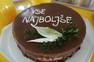 aktivnosti/128109241o