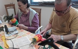 aktivnosti/17389043o