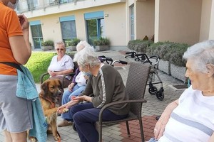 aktivnosti/205098568n