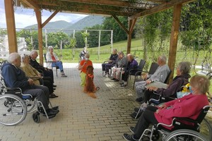 aktivnosti/205899679n