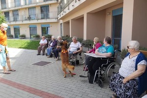 aktivnosti/205919585n