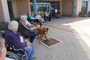 aktivnosti/206356665n