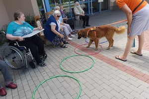aktivnosti/206578569n
