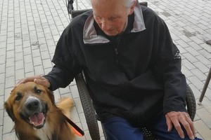 aktivnosti/206801267n