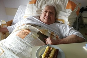 aktivnosti/207742004n
