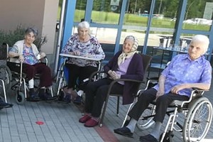 aktivnosti/208565608n_1