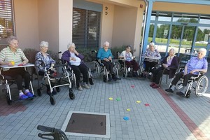 aktivnosti/208565608n