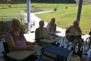 aktivnosti/208580733n