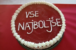 aktivnosti/239445454n
