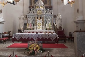 aktivnosti/244587237n