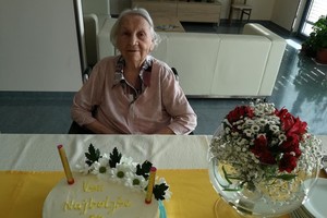 aktivnosti/255405739n