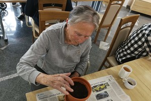 aktivnosti/265175122n