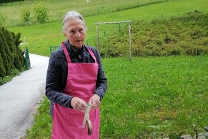 aktivnosti/347238533n