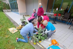 aktivnosti/348248087n