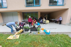 aktivnosti/348251067n
