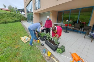 aktivnosti/348252487n
