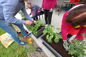 aktivnosti/348256784n