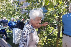 aktivnosti/357052878n