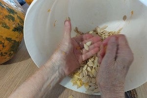 aktivnosti/397613499n