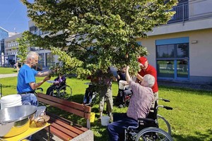 aktivnosti/448722376n