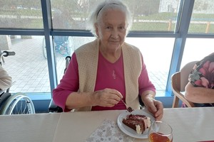 aktivnosti/453035114n