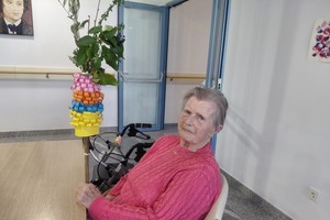 aktivnosti/655882317n