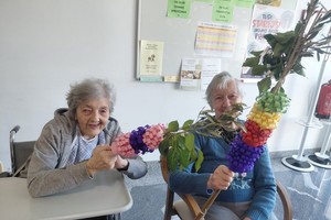 aktivnosti/656822734n