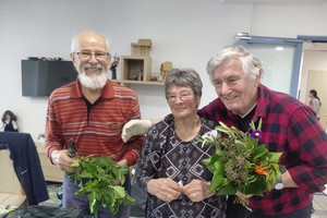 aktivnosti/656849670n