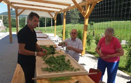aktivnosti/FB_IMG_20