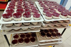 aktivnosti/FB_IMG_384