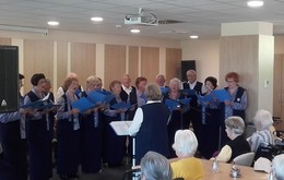 galerija/13417455n