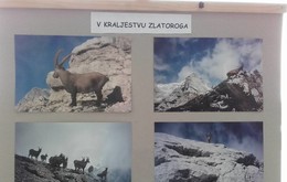 galerija/14937357n