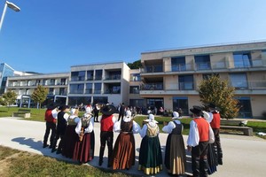 galerija/241891331n
