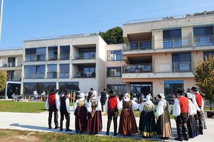 galerija/241931133n