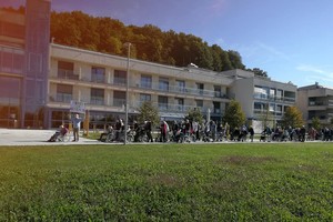 galerija/242548817n