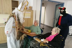 galerija/264784553n