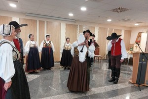 galerija/310271343n