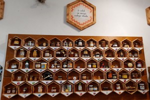 galerija/384774457n