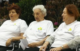 galerija/43062464o