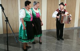 galerija/47684543n