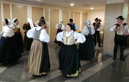 galerija/61191202o