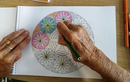 galerija/62506705o