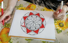 galerija/64479753o