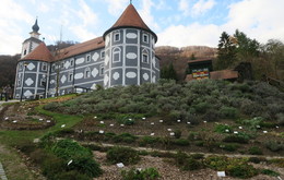 galerija/IMG_353
